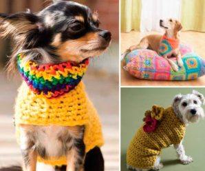 Inspiração Crochê Para Pets
