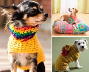 Inspiração Crochê Para Pets